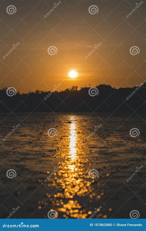 Dramatic Sunset With Bright Reflections Stock Photo Image Of Birds