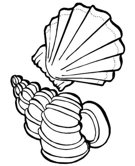 Sea Shells Coloring Page Printable