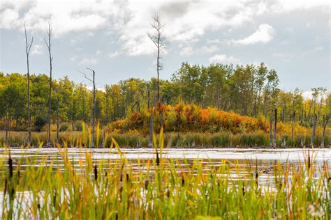 Cooking Lake Blackfoot Provincial Recreation Area Cooking Flickr