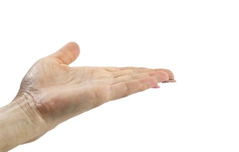 Female Hand Palm Up On White Isolated Stock Photo Image Of Hand