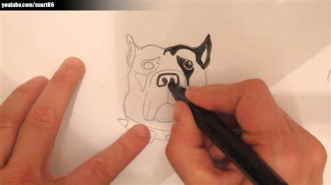 Como Dibujar Un Perro Pitbull Bebe Reverasite