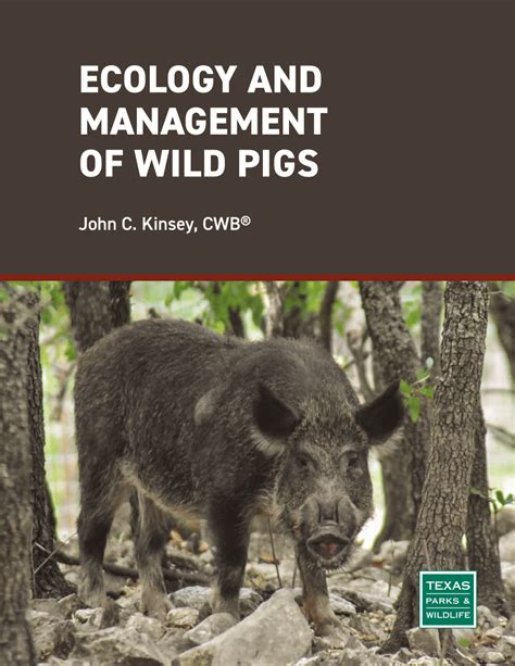 Pdf Ecology And Management Of Wild Pigs