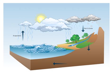 Water Cycle Diagram 101 Diagrams