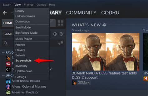 how to take screenshots in steam and their location