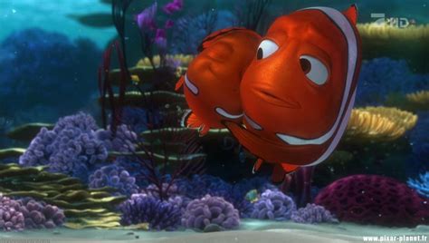 17 Best Images About Nemos Dad On Pinterest Disney Finding Nemo And