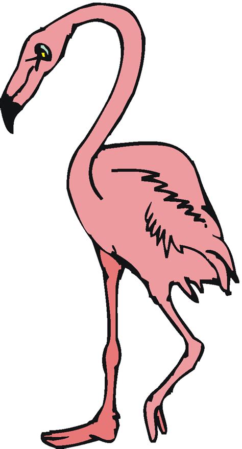 Pink Flamingo Clipart Free Clip Art Bay