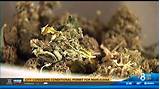 Pictures of Medical Marijuana License San Diego