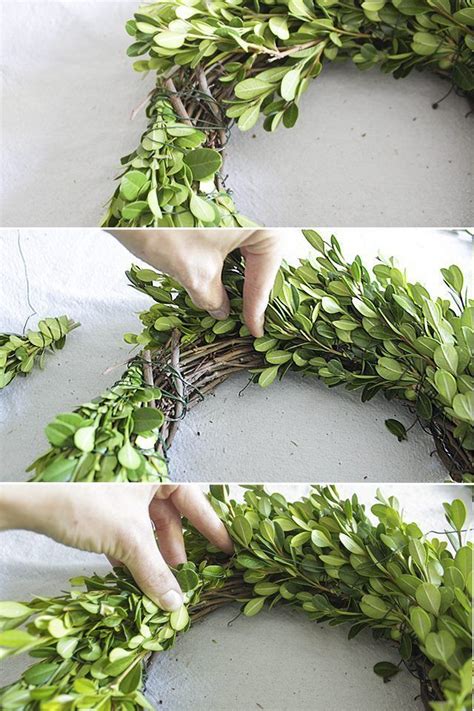 Make A Boxwood Wreath Using Fresh Boxwood Clippings Perfect Addition