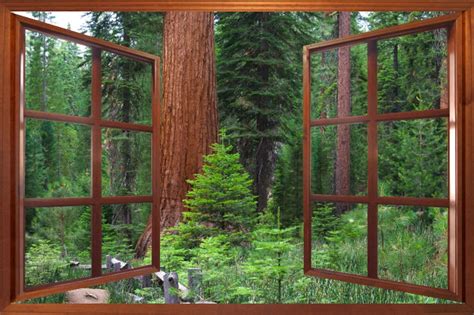 Wall Mural Window Self Adhesive Forest Window View 4 Sizes Etsy