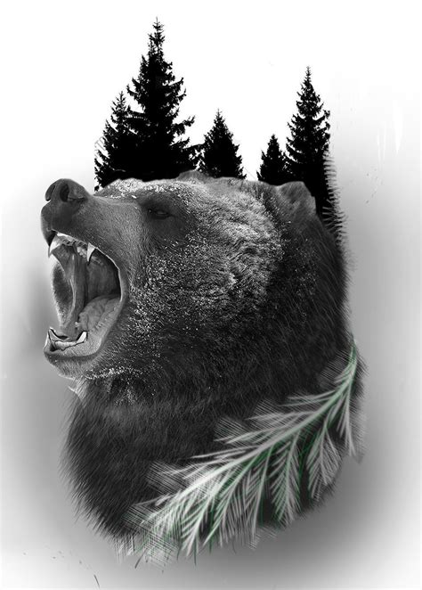 Grizzly Bear Head Drawing 13 Images Result Koltelo
