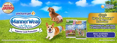 Home Silversky Delivering Wow To Everything Pets