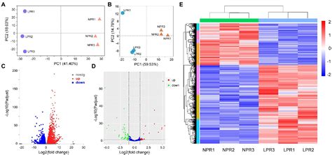 Frontiers Integrated Mrna And Microrna Expression Analysis Of Root