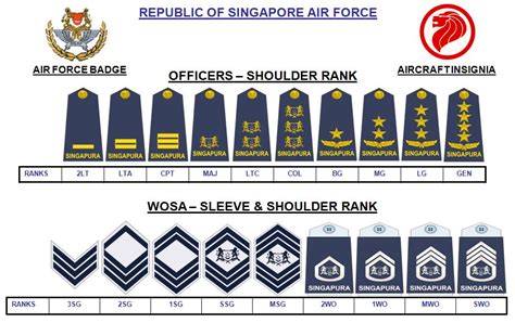 Singapore Armed Forces Ranks ~ Everything You Need To Know With Photos