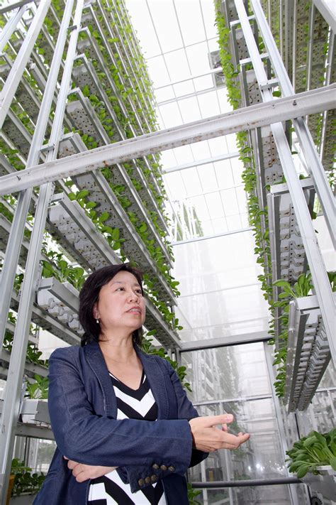 A containerized hydroponic farm in dillingham, alaska. Vertical "hydroponic" farm | 도시 농업, 조경, 여행
