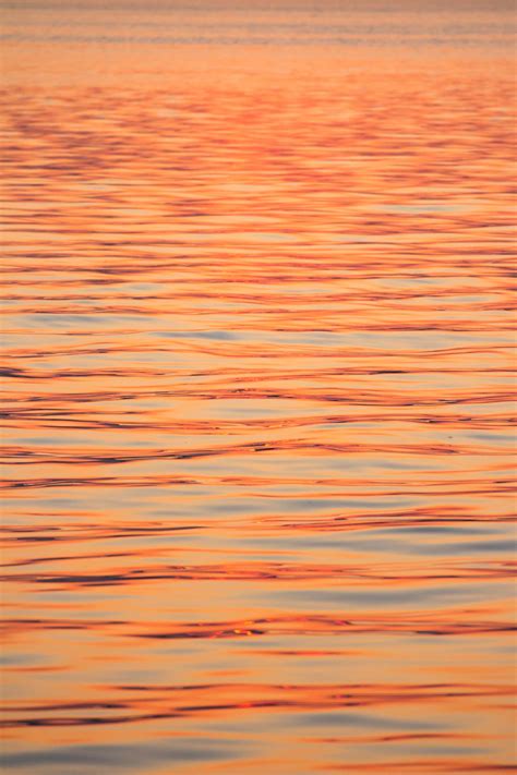 Sunset Reflection Free Stock Photo Imagecarrier