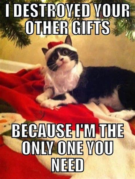 100 Funniest Merry Christmas Memes