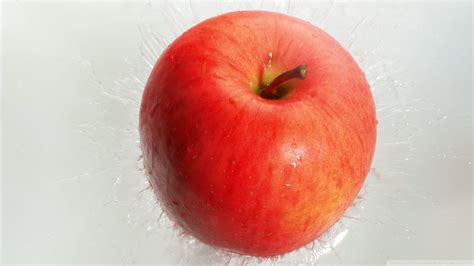 Free Download Fresh Red Apple Wallpaper 1920x1080 Fresh Red Apple