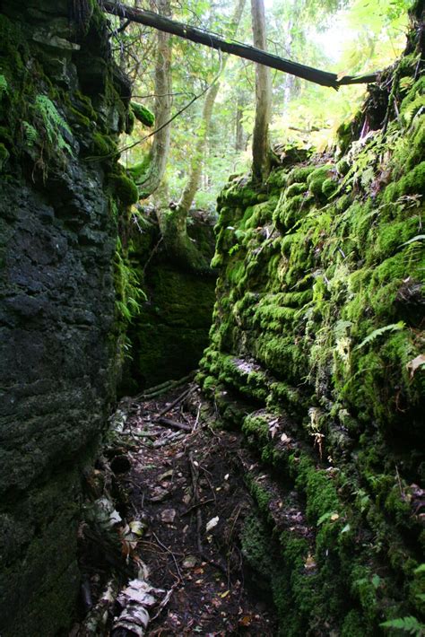 Bruce Trail Conservancy Will Power