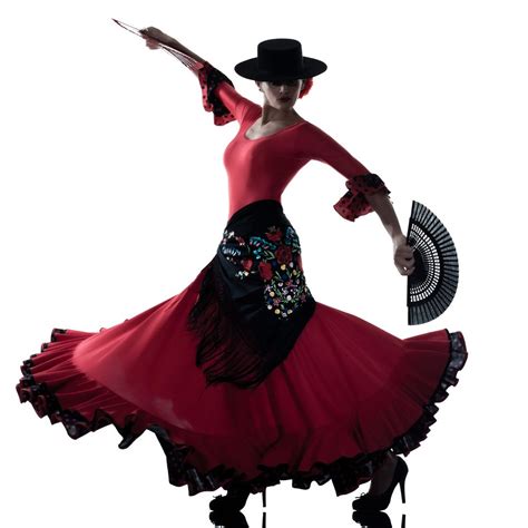 Flamenco Barcelona Flamenco Costume Flamenco Dress Flamenco Dancing