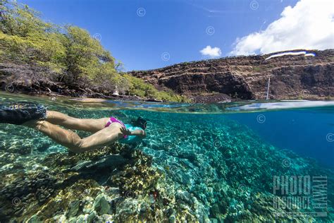 Woman Snorkeling Near Captain Cook Monument Kealakekua Bay Big Island