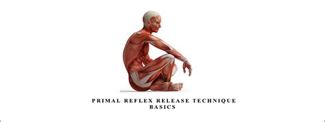 Primal Reflex Release Technique Basics What Study