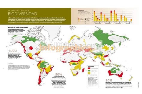 Infografía La Biodiversidad Infographics90