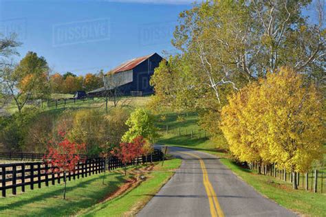 Rural Road Through Bluegrass Region Of Kentucky In Autumn Season Near