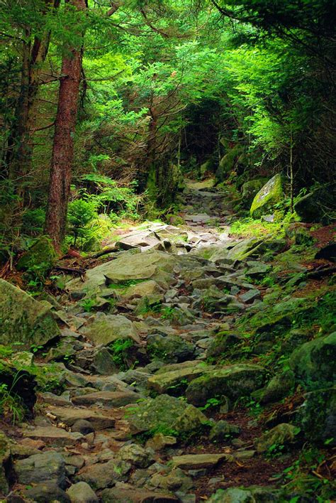 Hiking In Great Smoky Mountains National Park Hiking National Parks