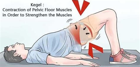 How To Do Kegel Exercises For Men A Definitive Guide To Male Kegeling Kegel Exercise For Men