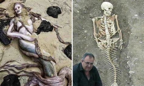 Top 10 Real Life Mermaid Found With Pictures Proved It Is Real