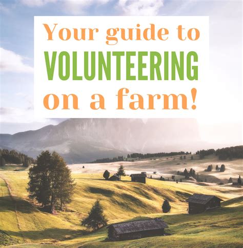 Volunteering On A Farm Helpstay Journal