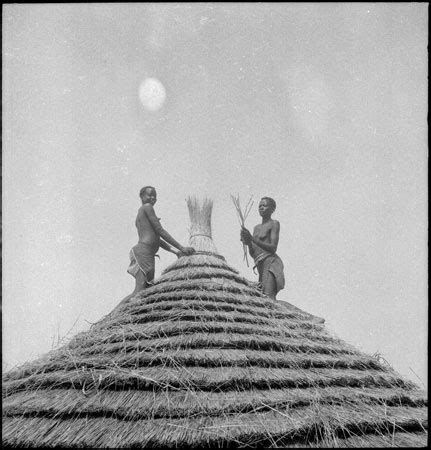 Dinka Women Thatching Hut 2005 51 22 1 From The Southern Sudan Project