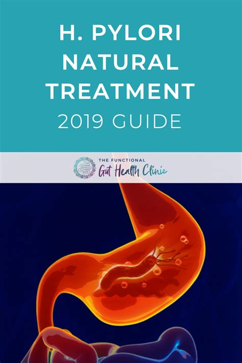 H Pylori Natural Treatment Guide Symptoms Diet Herbals