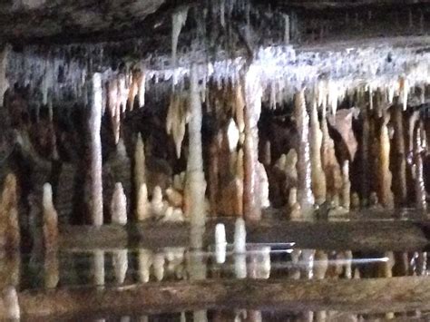 Buchan Caves Reserve Bewertungen And Fotos Australien Tripadvisor