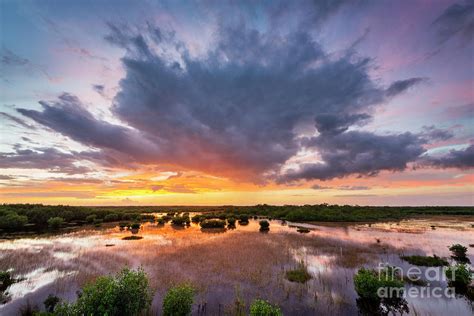 Everglades Sunset Photograph By Justin Foulkes Pixels