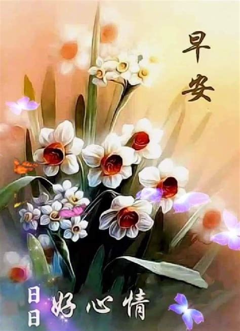 Pin By May On Good Morning Wishes Chinese Good Morning Flowers