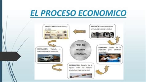 Fases Del Proceso Economico