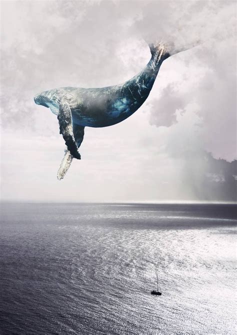 Flying Whale Limited Edition Photograph Fantasy Photography Whale