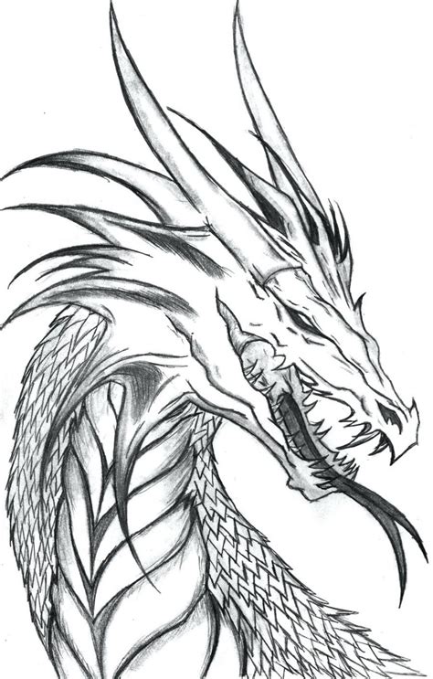 Cool Dragon Drawing ~ Pin By Evel Angel On Emulation Portfolio Dragon