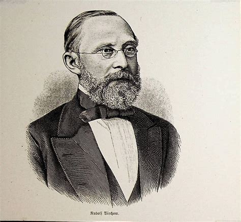 Virchow Rudolf Virchow 1821 1902 Deutscher Mediziner Pathologe