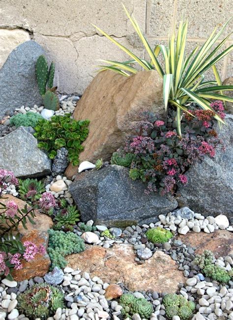 Create A Succulent Seascape Rock Garden Rock Garden Landscaping Succulent Garden Landscape