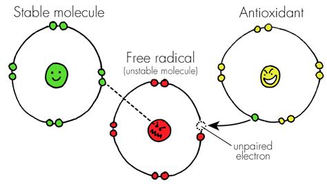 In contrast, beneficial effects of ros/rns (e.g. Antioxidants - Haleo