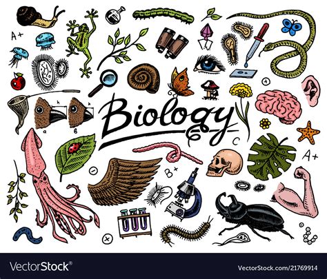 Scientific Laboratory In Biology Icon Set Of Vector Image