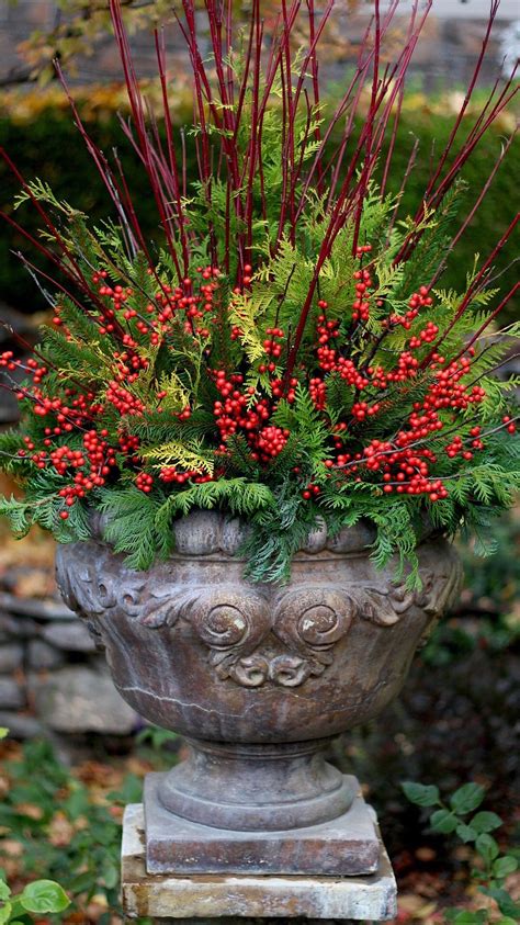 Winter Container Garden Ideas Outdoor Holiday Planters Holiday