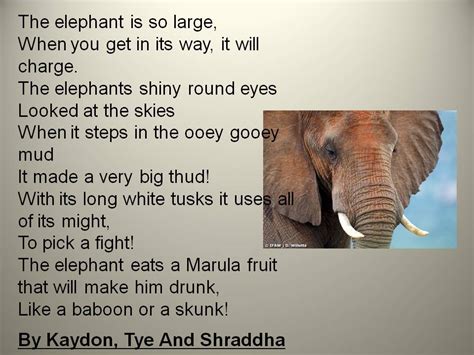 Poems Of Elephants