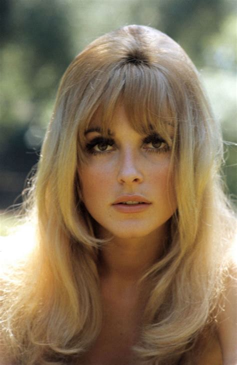 Sharon Tate Photo 53 Of 98 Pics Wallpaper Photo 349714 Theplace2