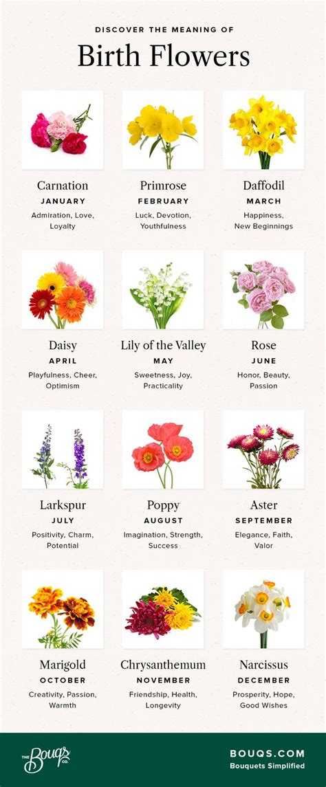 Your Birth Month Flower And What It Means Bouqs Blog Birth Flower