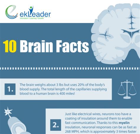 Ten Interesting Brain Facts Infographic E Learning Infographics Riset