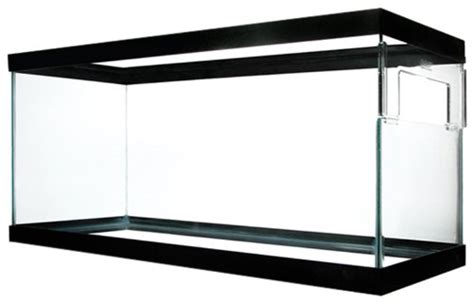 Zilla Rzilla 28008 40 Gallon Turtle Tank 36 Inch By 18 Inch By 16 Inch