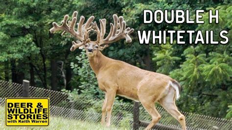 Double H Whitetails Deer And Wildlife Stories Deer Farming Youtube